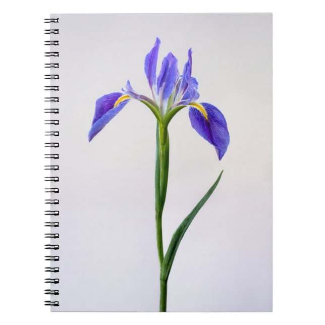 Caderno Espiral Flores | Flor Roxo-Íris (Frente)