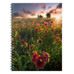 Caderno Espiral Flores Flor selvagem no interior da Índia