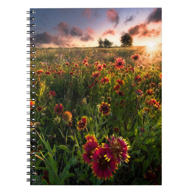 Caderno Espiral Flores | Flor selvagem no interior da Índia (Frente)