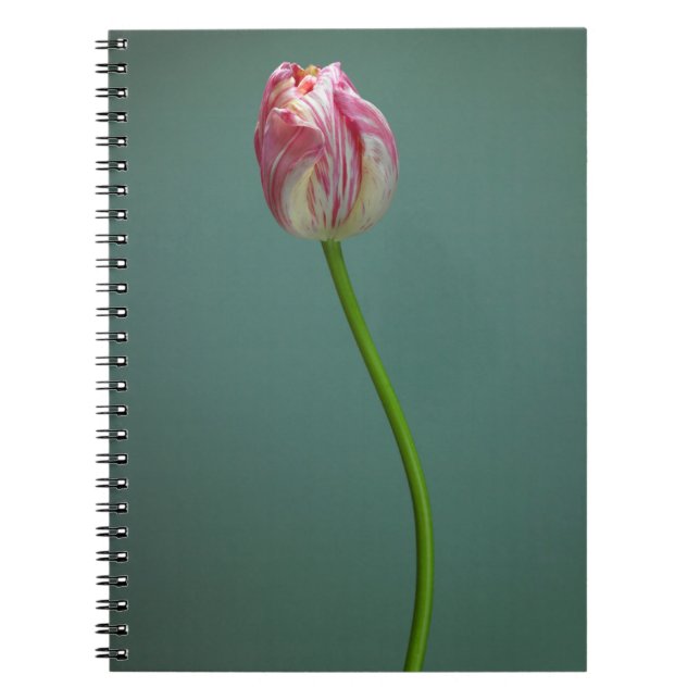 Caderno Espiral Flores | Flor Solteiro (Frente)