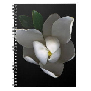 Caderno Espiral Flores Flor Solteiro Magnolia Branca