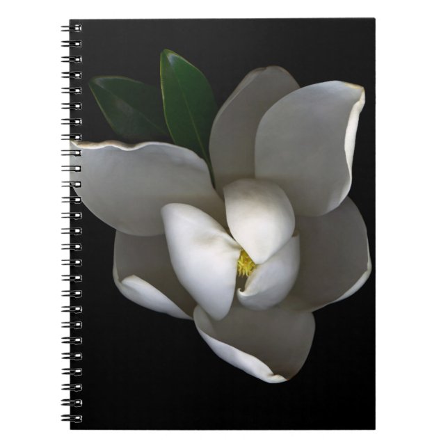 Caderno Espiral Flores | Flor Solteiro Magnolia Branca (Frente)