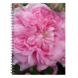Caderno Espiral Flores florais de Rosa cor-de-rosa