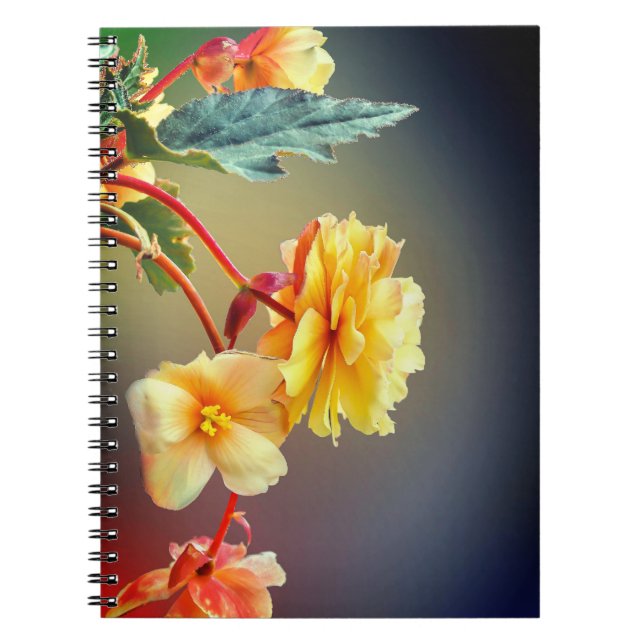 Caderno Espiral Flores, Flores amarelas, Petais-63158 (Frente)