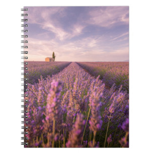 Caderno Espiral Flores França Lavanda do Sul