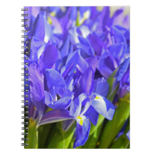 Caderno Espiral Flores íris
