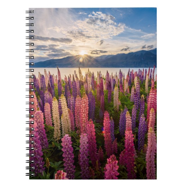 Caderno Espiral Flores | Lupinas Nova Zelândia (Frente)