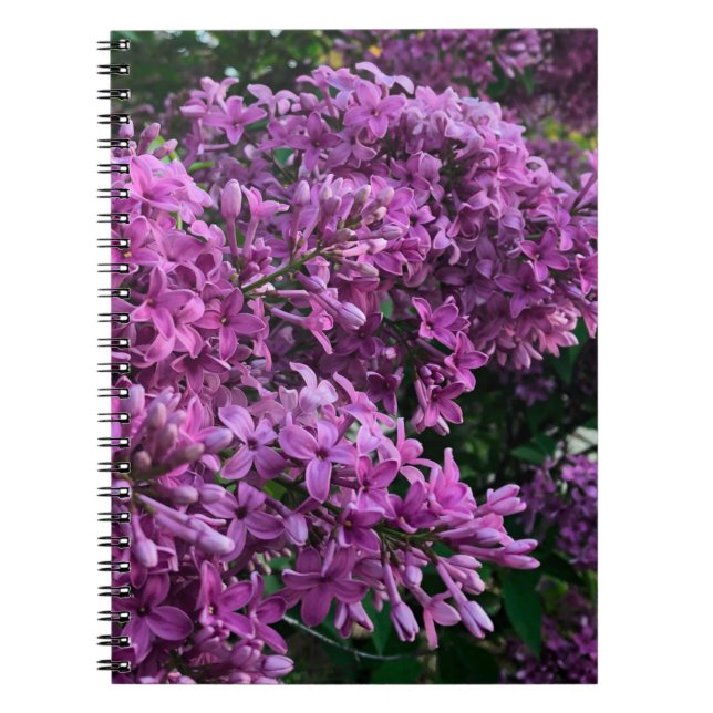 Caderno Espiral Flores magenta roxas profundas elegantes flores li (Frente)