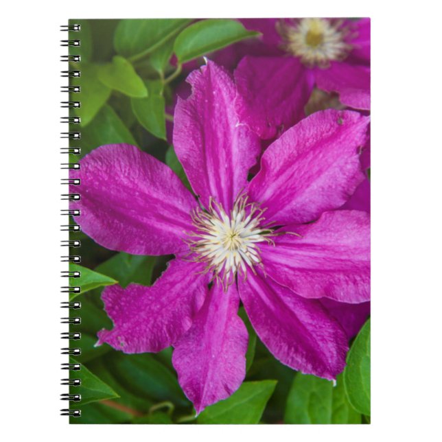 Caderno Espiral Flores na Robinette's Apple Haus and Gift Barn (Frente)