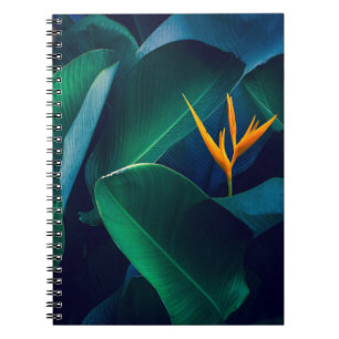 Caderno Espiral Flores   Pássaro do Paraíso