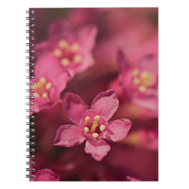 Caderno Espiral Flores Rosa Bonitas
