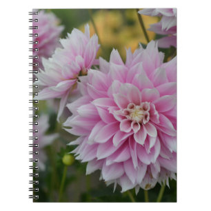 Caderno Espiral Flores Rosa Dahlia no Jardim da RHS Wisley