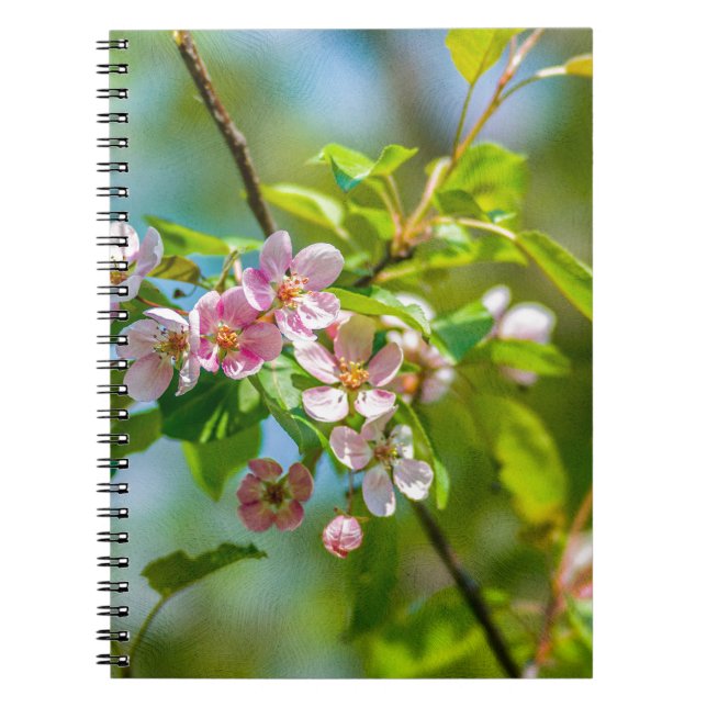 Caderno Espiral Flores rosa de maçã (Frente)