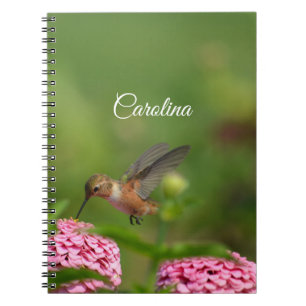 Caderno Espiral Flores Rosa-Hummingbird