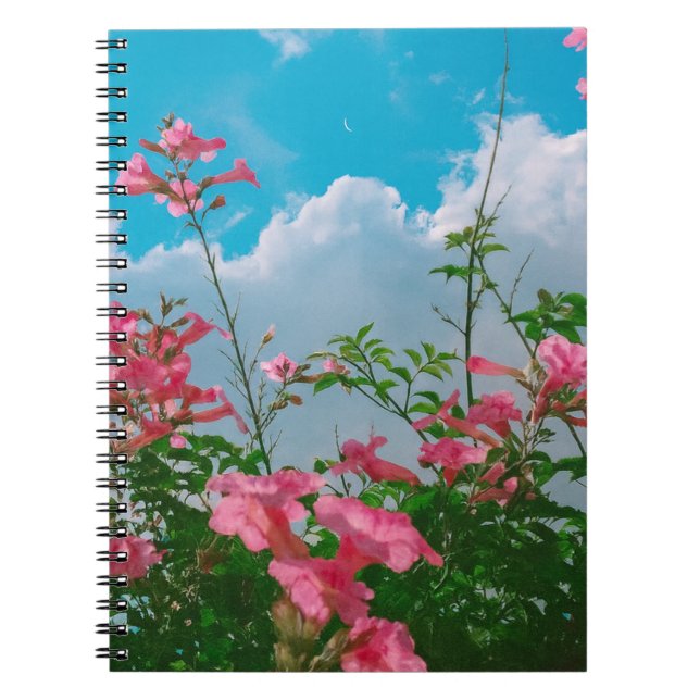 Caderno Espiral Flores Rosa Sob Céu Azul com Nuvens - Natureza (Frente)