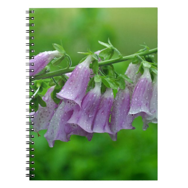 Caderno Espiral Flores roxas (Frente)