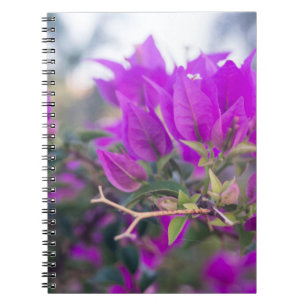 Caderno Espiral Flores Roxas de Bougainvillea