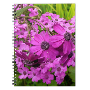 Caderno Espiral Flores Roxas de São Francisco