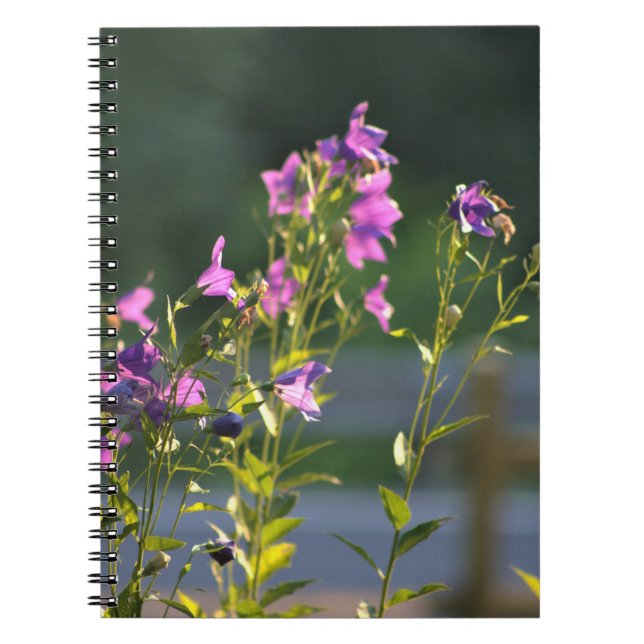 Caderno Espiral Flores selvagens roxas (Frente)