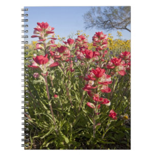 Caderno Espiral Flores silvestres à beira da estrada no Texas, pri