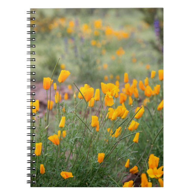 Caderno Espiral flores silvestres lindas e perfumadas que crescem  (Frente)