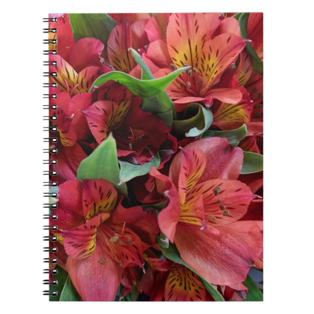 Caderno Espiral Flores vermelhas (Frente)