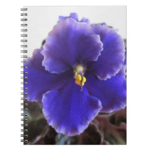 Caderno Espiral Florescência da violeta africana