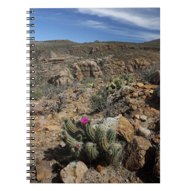 Caderno Espiral Florescência do cacto (Frente)
