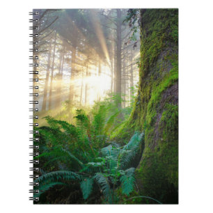 Caderno Espiral Floresta da Costa Pacífica, Oregon