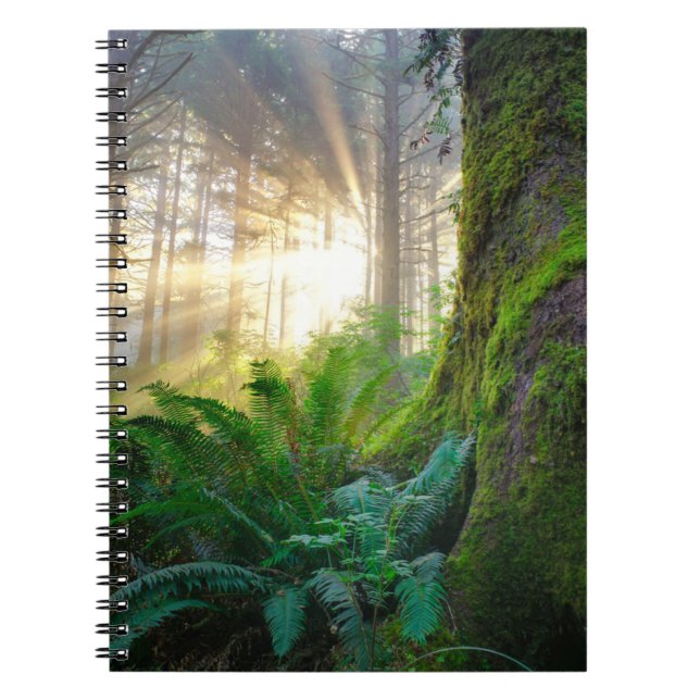 Caderno Espiral Floresta da Costa Pacífica, Oregon (Frente)