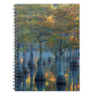 Caderno Espiral Floresta de Ciprestes