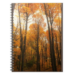 Caderno Espiral Floresta de Outono Laranja