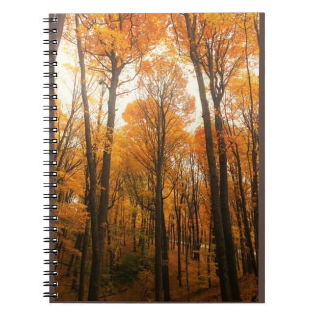 Caderno Espiral Floresta de Outono Laranja (Frente)