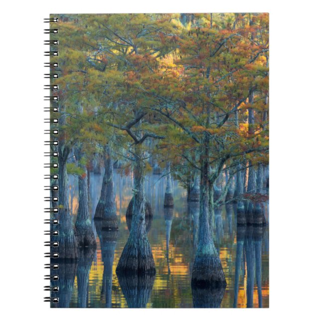 Caderno Espiral Floresta de Pond Cypress Trees (Frente)