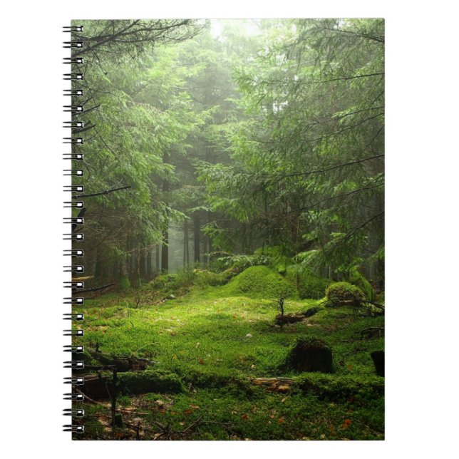 Caderno Espiral Floresta de Sterious (Frente)