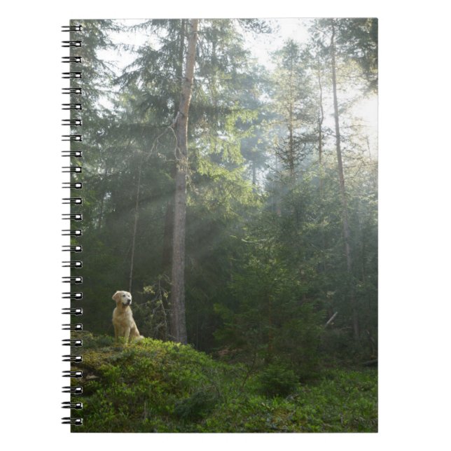 Caderno Espiral Floresta do pinho do cão | do golden retriever (Frente)
