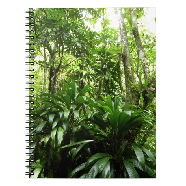 Caderno Espiral Floresta Dominicana I Natureza Verde Tropical (Frente)