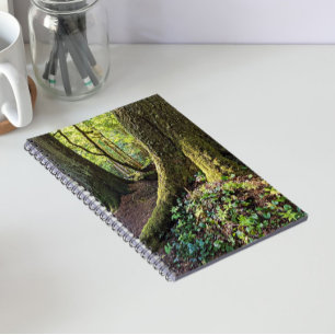 Caderno Espiral Floresta Evergreen Esmagadora