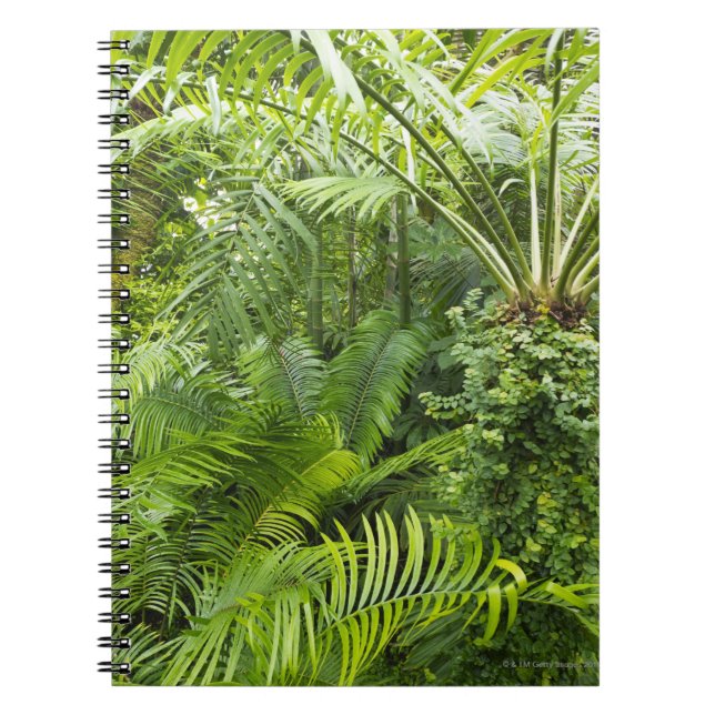 Caderno Espiral Floresta húmida de Amazon, Amazónia, Brasil 2 (Frente)