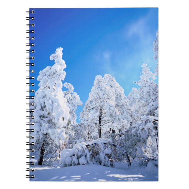 Caderno Espiral Floresta Nacional de Cleveland (Frente)