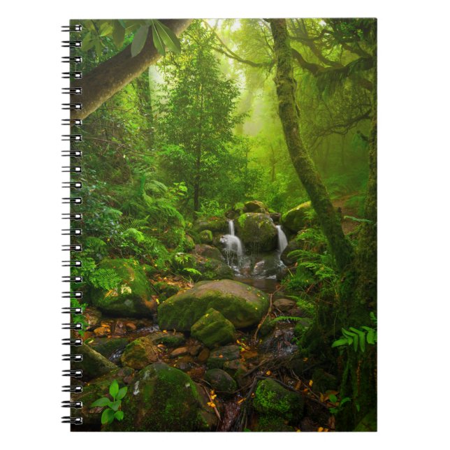 Caderno Espiral floresta tropical asiática, floresta, ambiente (Frente)