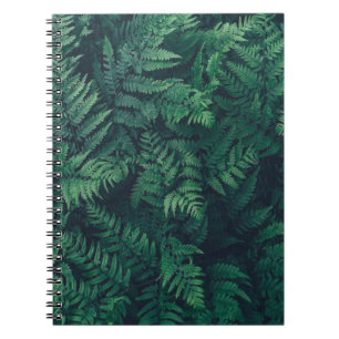 Caderno Espiral Florestas   Ferns De Madeira