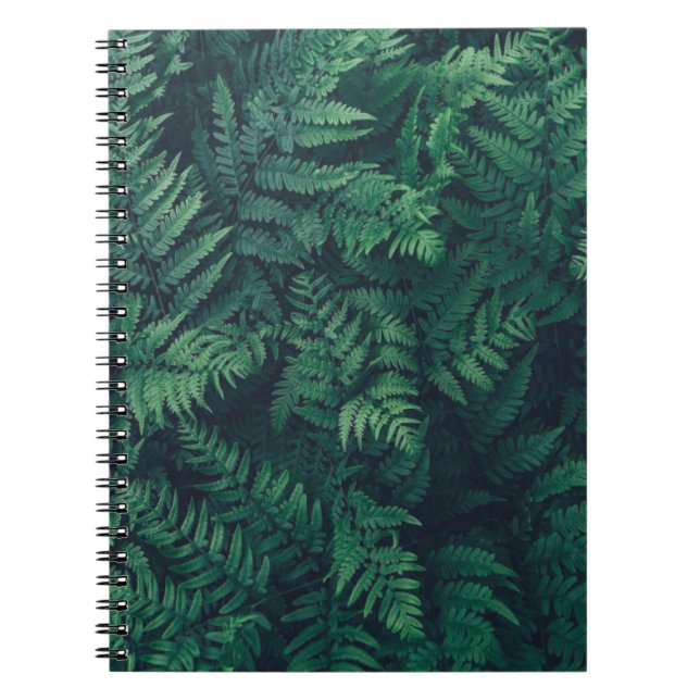 Caderno Espiral Florestas | Ferns De Madeira (Frente)