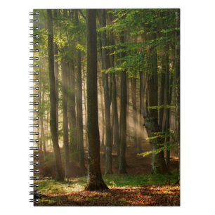 Caderno Espiral Florestas   Florestas do outono