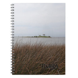 Caderno Espiral Florida Golfo Beach Proibindo a Needlerush Foto