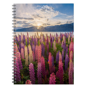 Caderno Espiral Flowers Lupines New Zealand
