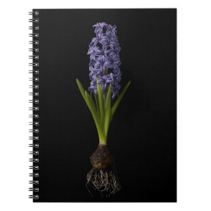 Caderno Espiral Flowers Purple Hyacinth Bulb