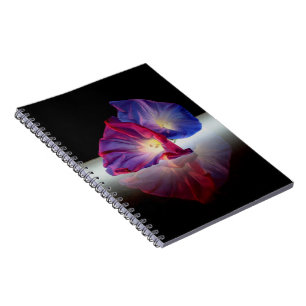 CADERNO ESPIRAL FLUXAS DE GLÓRIA DA MANHÃ
