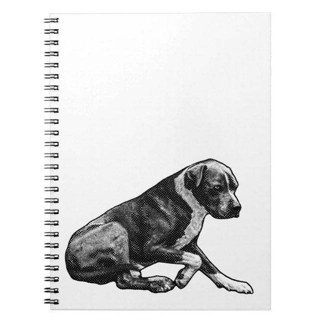 Caderno Espiral Foco de inverno sem tinta (Frente)