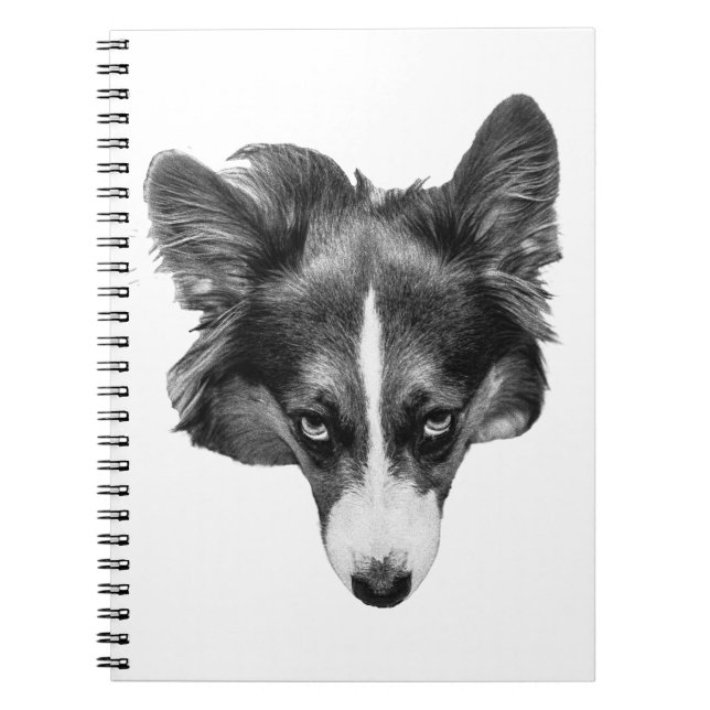 Caderno Espiral foco softshade (Frente)